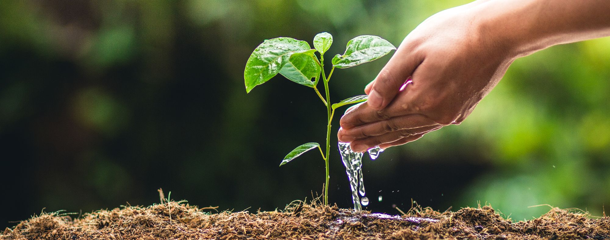 Nova agricultura é possível