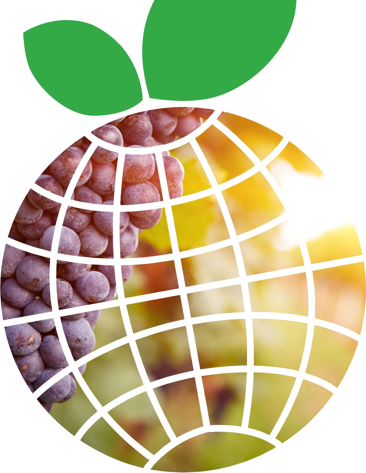 Biosani - Agricultura Biológica e Protecção Integrada