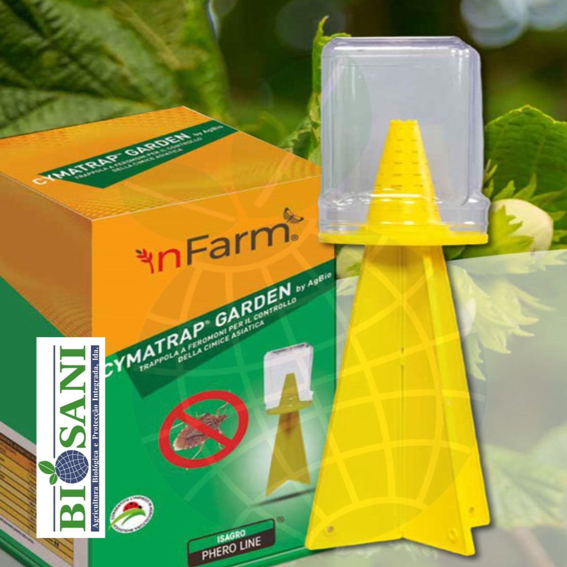 Kit Cymatrap® Halyomorpha halys