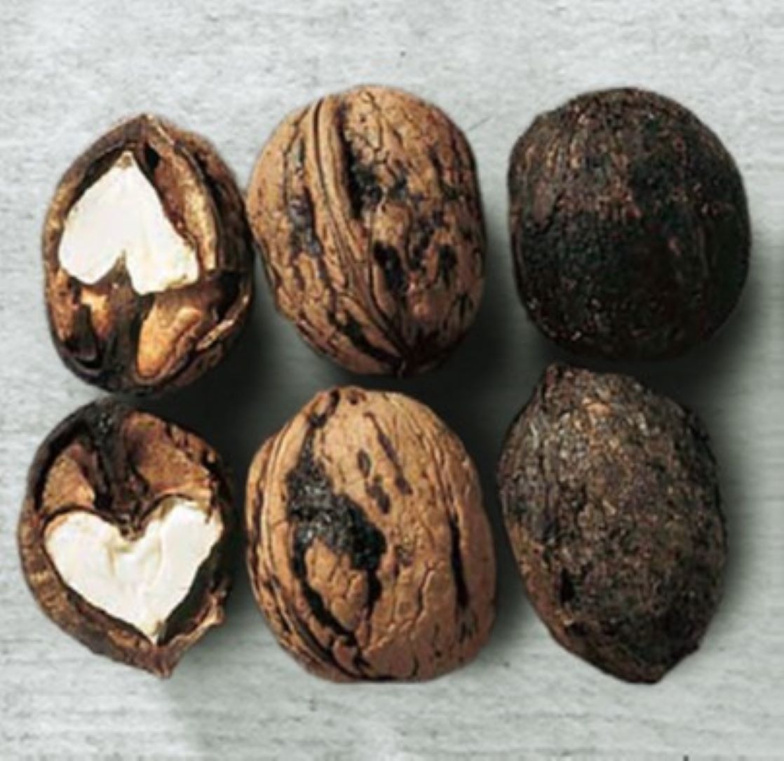 Image with examples of damage caused by the larva of Rhagoletis completa on the walnut endocarp - open and closed walnuts
