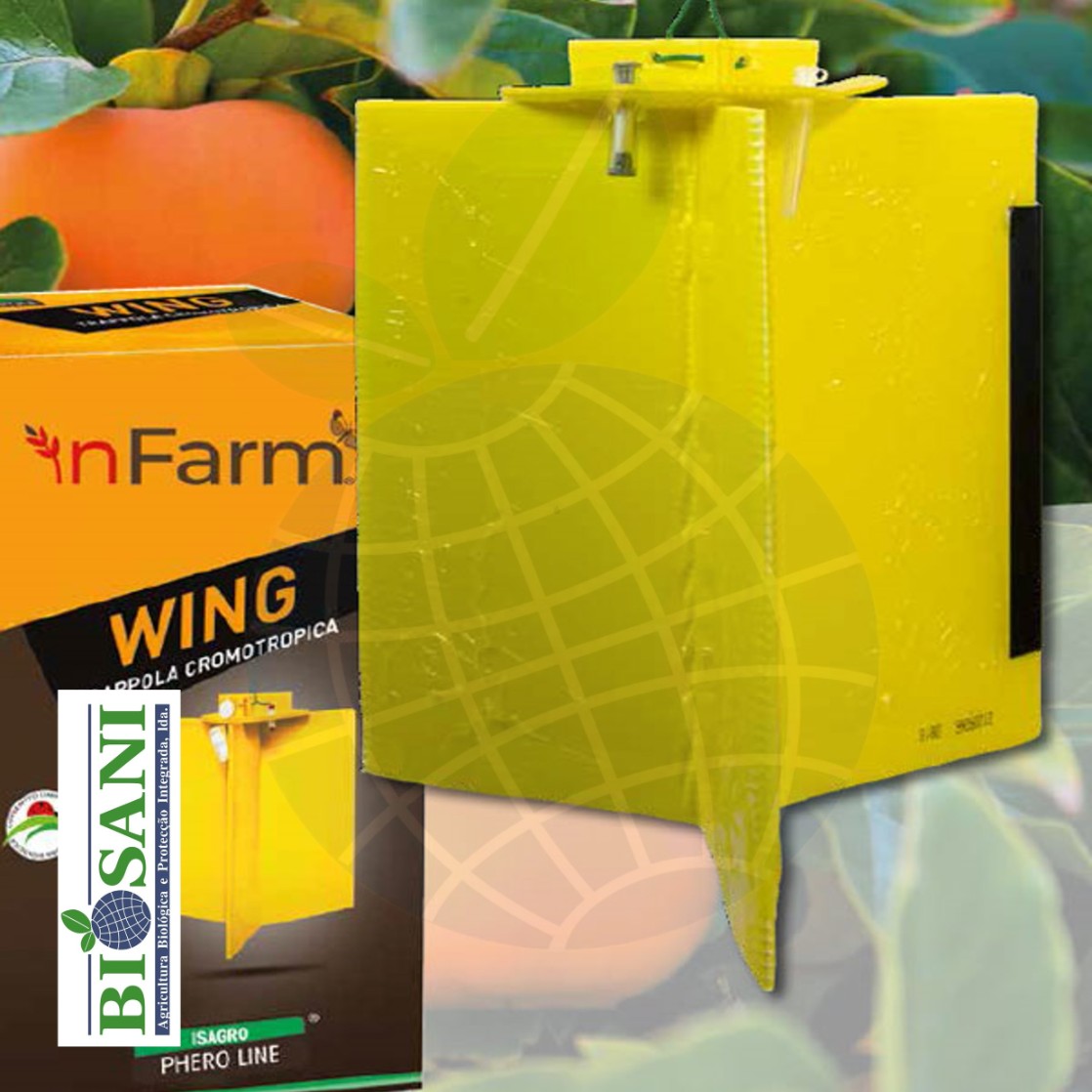 Kit Wing Bactrocera oleae