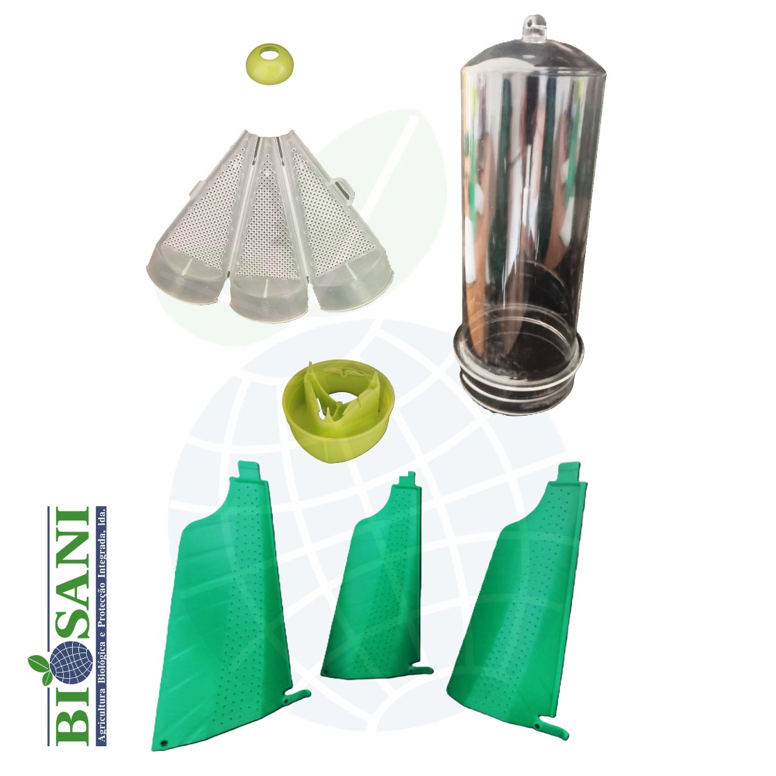 Image of the components of the mini-pyramidal trap for monitoring Halyomorpha halys