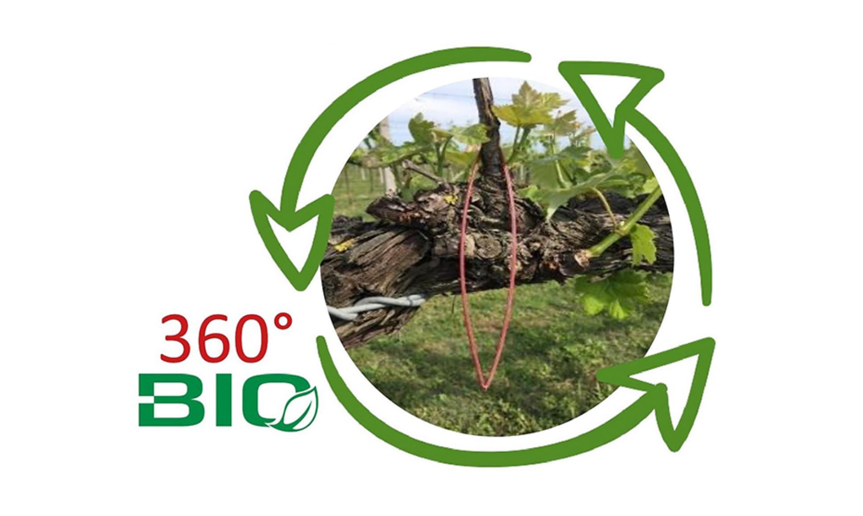 1st Biodegradable Pheromone Dispenser for “Mating Disruption”